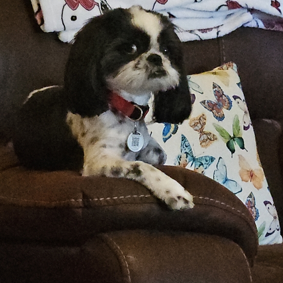 Meet your Posher, Vanessa - Picture 2 of 3